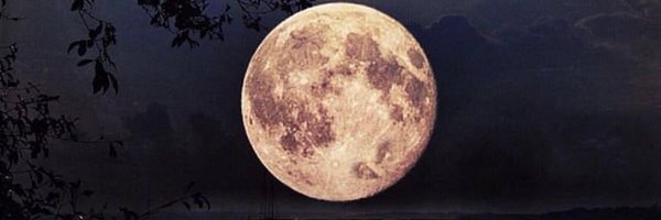 GoAbo Profile Banner