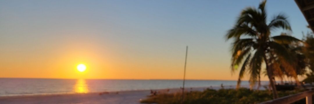 rowgirlrow's profile banner image