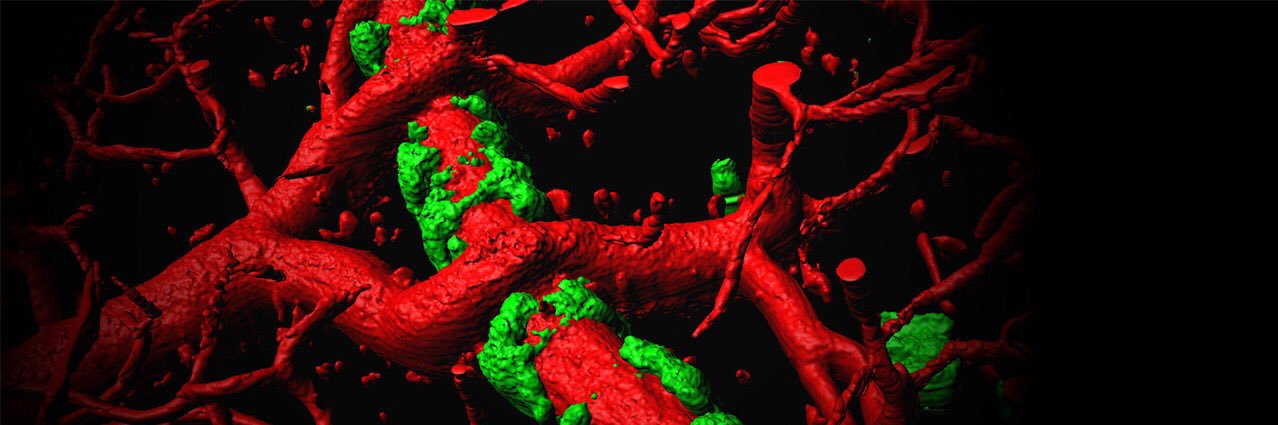 Ian Kimbrough banner