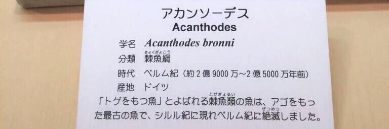 iroirookasii's profile banner image