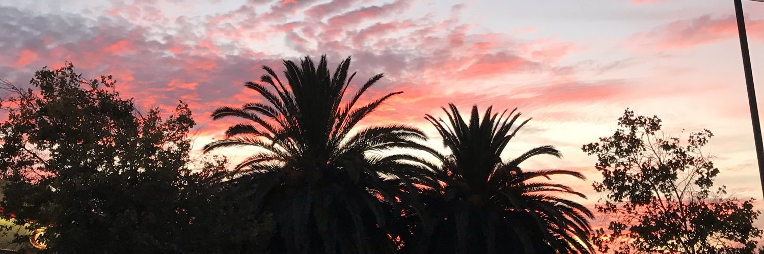 mary_johnson25's profile banner image