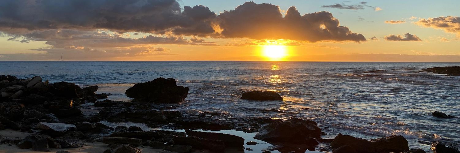 Anne T🦋🌷🌊 banner