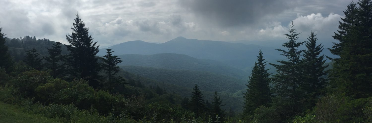 stockylicious's profile banner image
