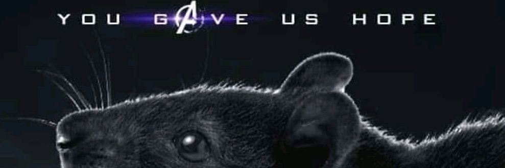 PT_Nelson_A's profile banner image