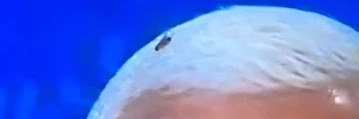 Kimmie 🌊🌊🌊🌊🌊 banner