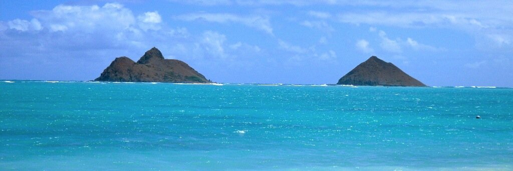 Xavier Galvan banner