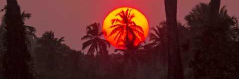 Back Of The Knee banner