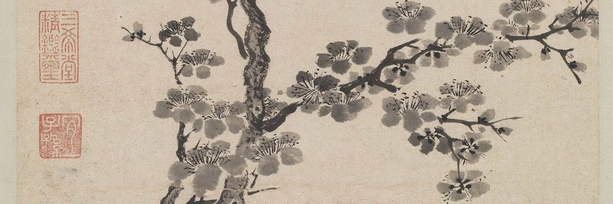 zaiShuooo's profile banner image