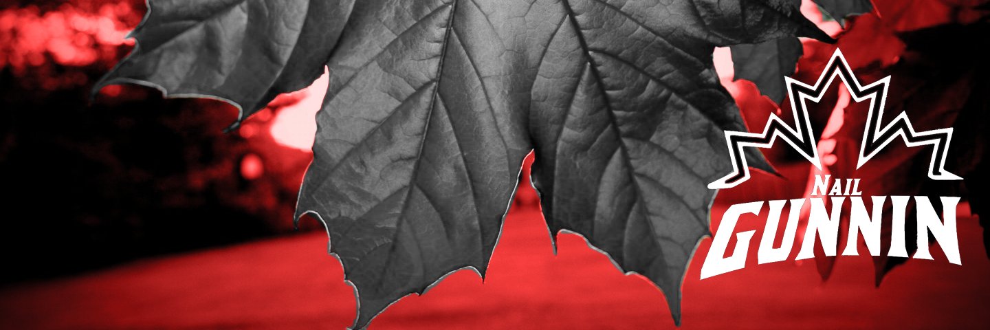 NailGunHKY's profile banner image