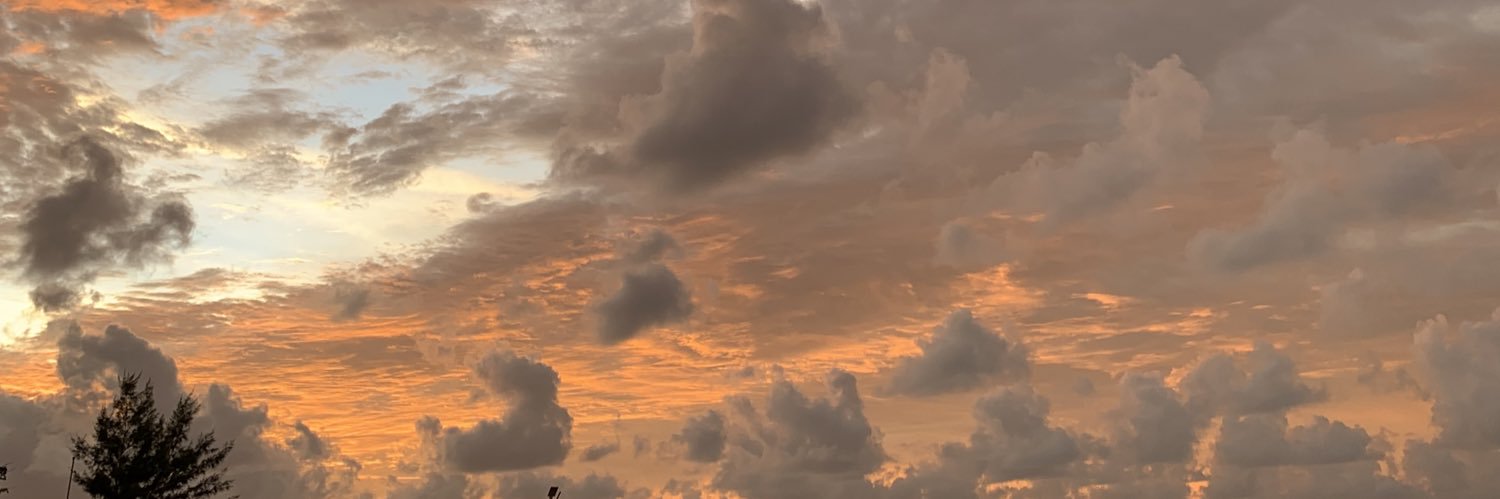 danudaroja's profile banner image