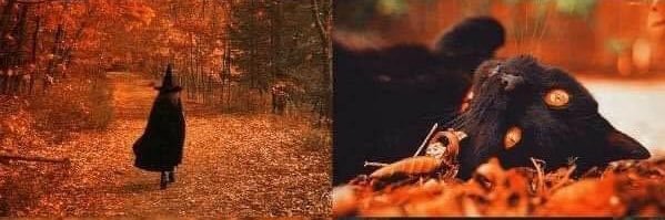 VoodooDanny's profile banner image