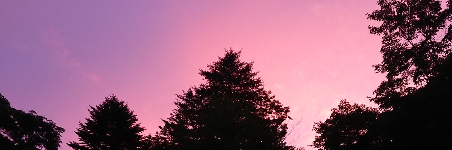 shunkatt's profile banner image