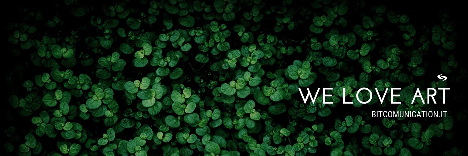 alex_bitcom's profile banner image