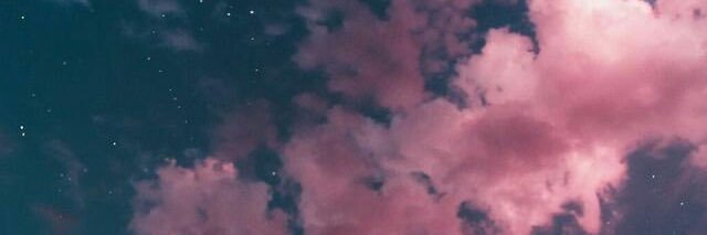 Allyson Wilcox banner