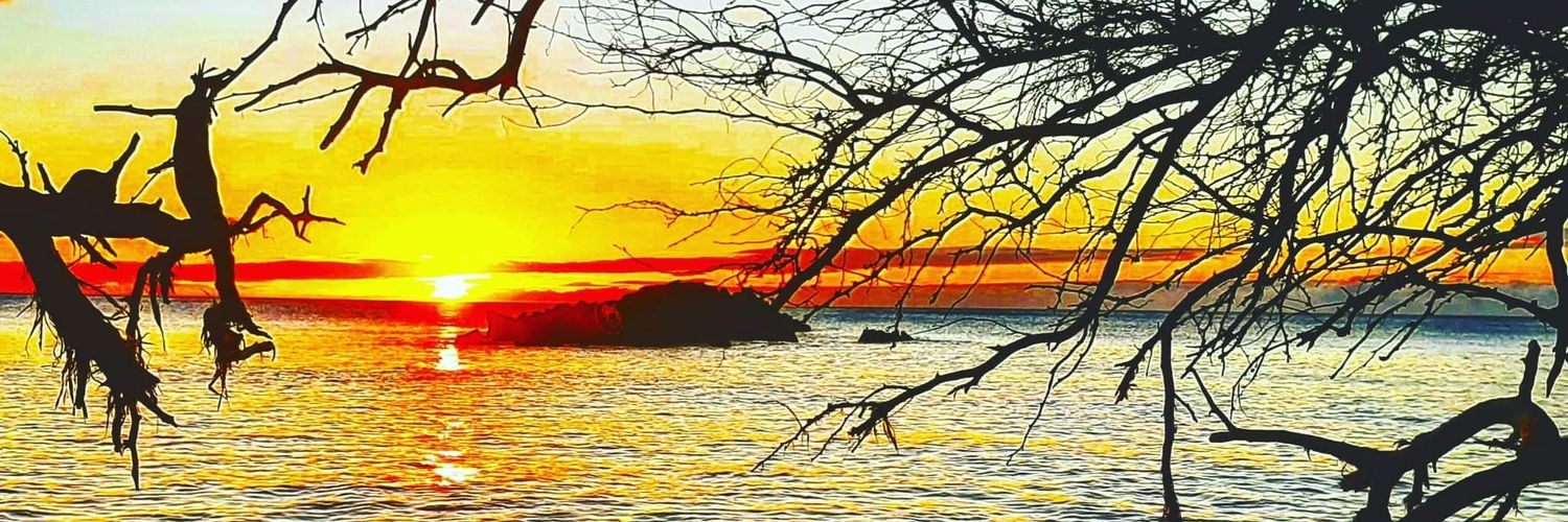 HammyFresh's profile banner image