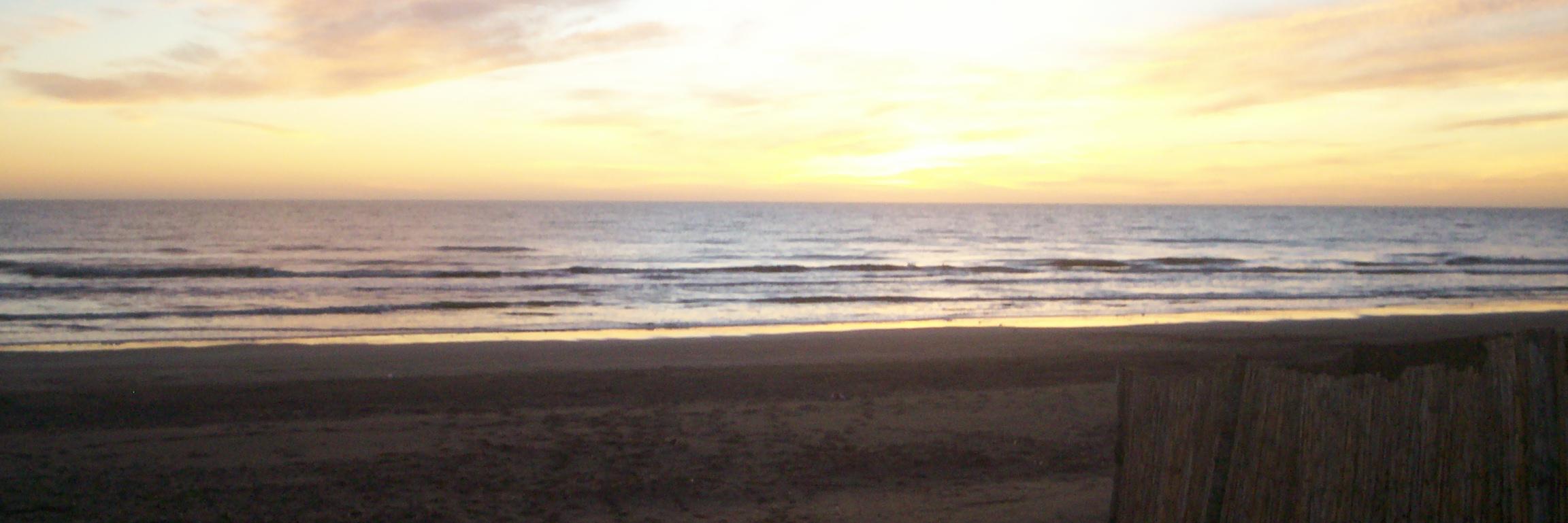 EstefiDeg's profile banner image