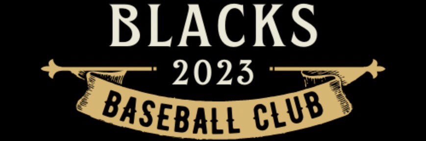 blacks_baseball's profile banner image