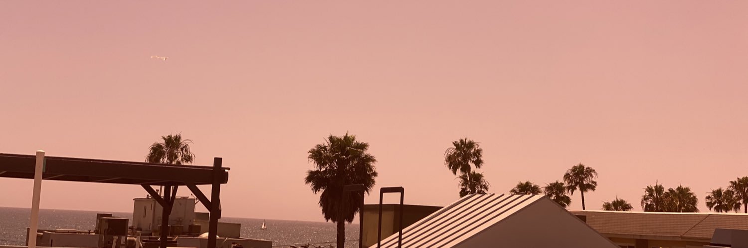 laura_lmod's profile banner image