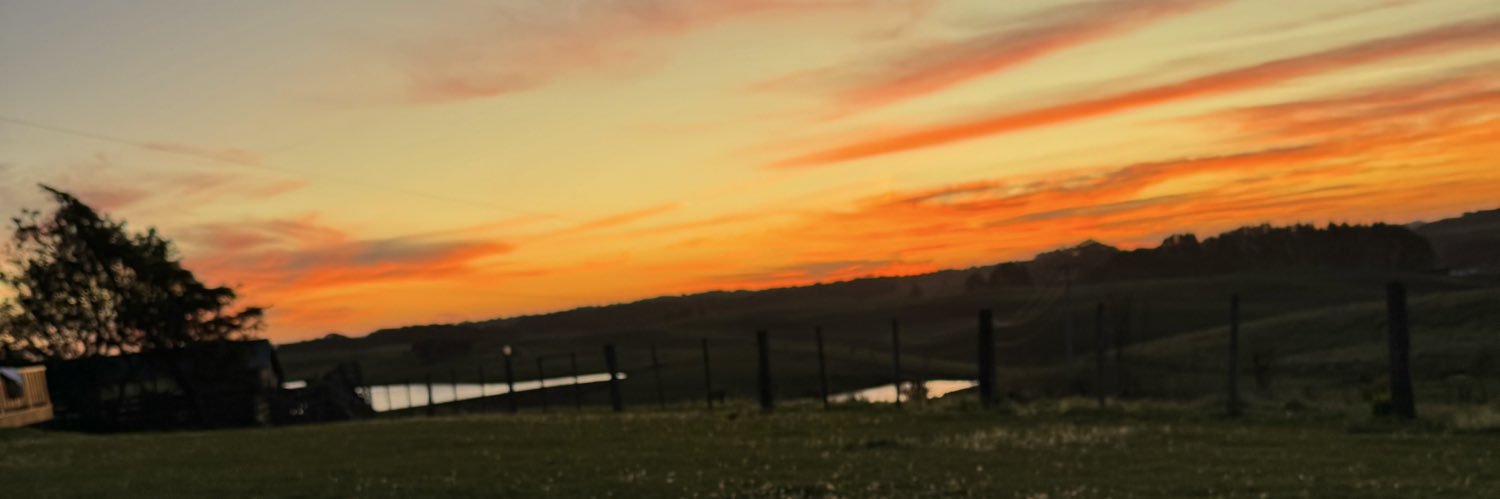 _alanlucheta's profile banner image
