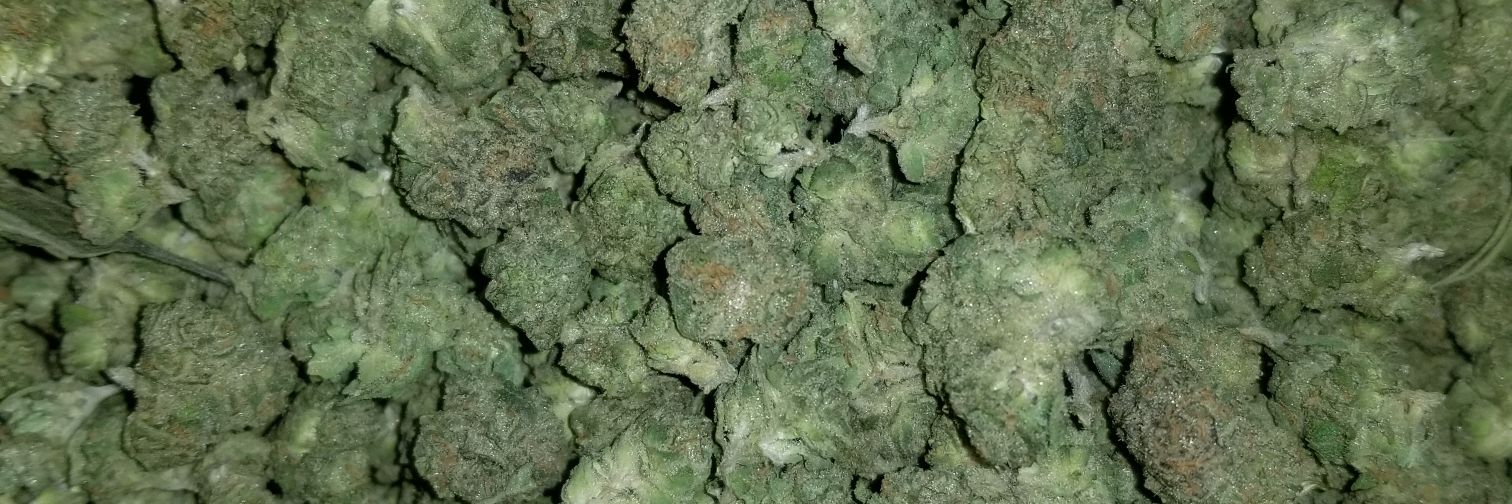 CoreymuthaFuckinPierce banner