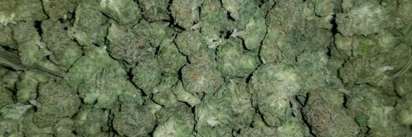 Corforbid Profile Banner