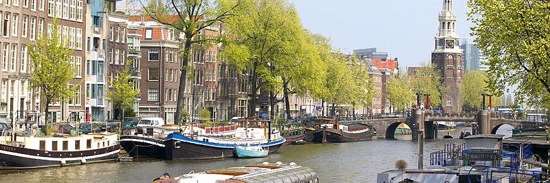 Timothy S. Mescon banner