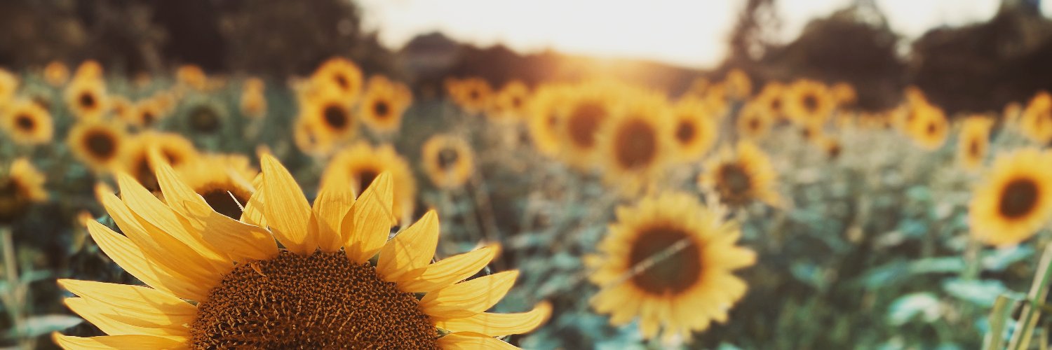 candicakes13's profile banner image