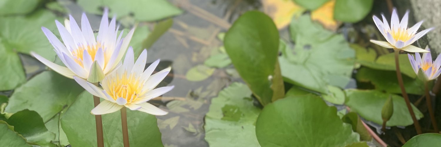julsfrias's profile banner image