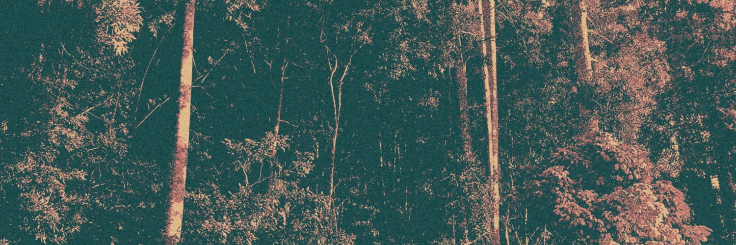 aspindyration's profile banner image