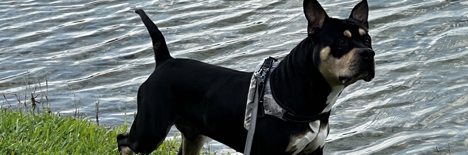 Goodphunk's profile banner image