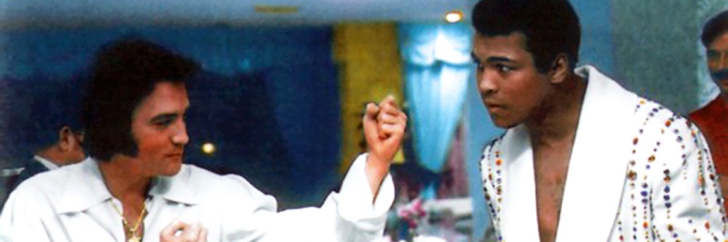 Shannibal Lecter banner