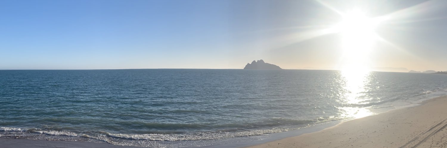 Mario Flores Ma3 banner