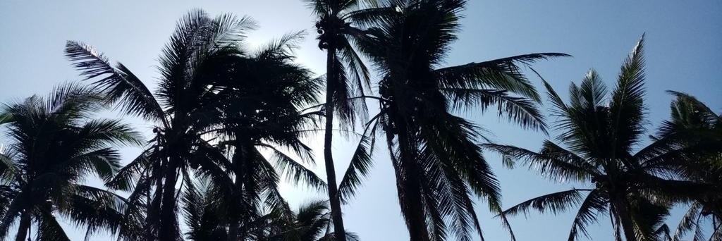 waddapliya's profile banner image