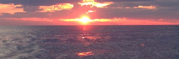 cbasile14 Profile Banner