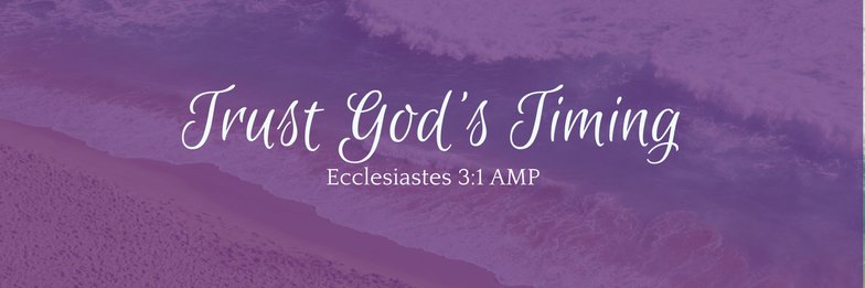 Ms_TracyRoss's profile banner image