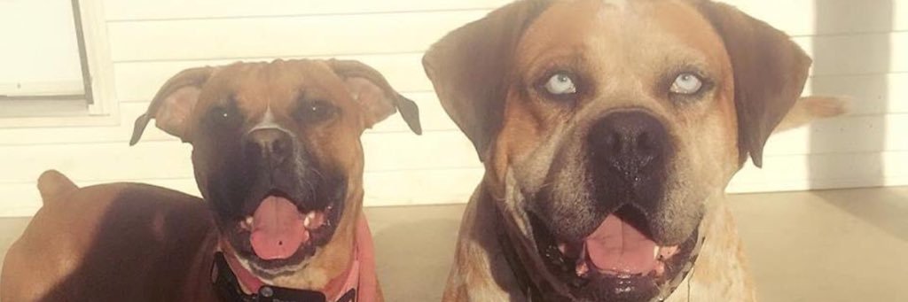 EmilyGWright's profile banner image