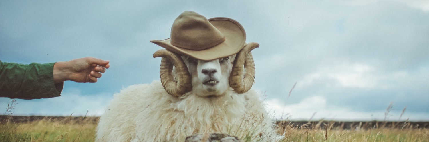 MisterJWatson's profile banner image