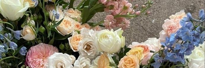 _marisul's profile banner image