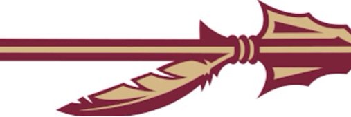 FSU_2020's profile banner image