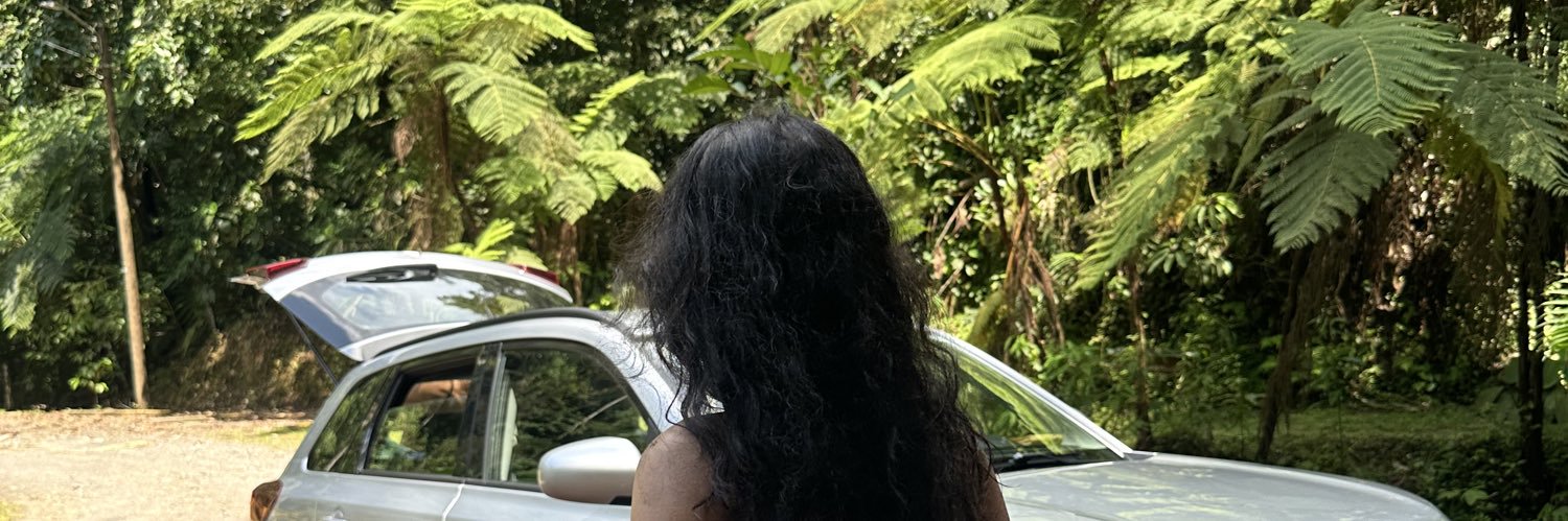 msardarr's profile banner image