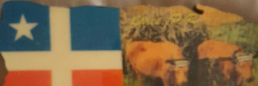 fpedraz's profile banner image