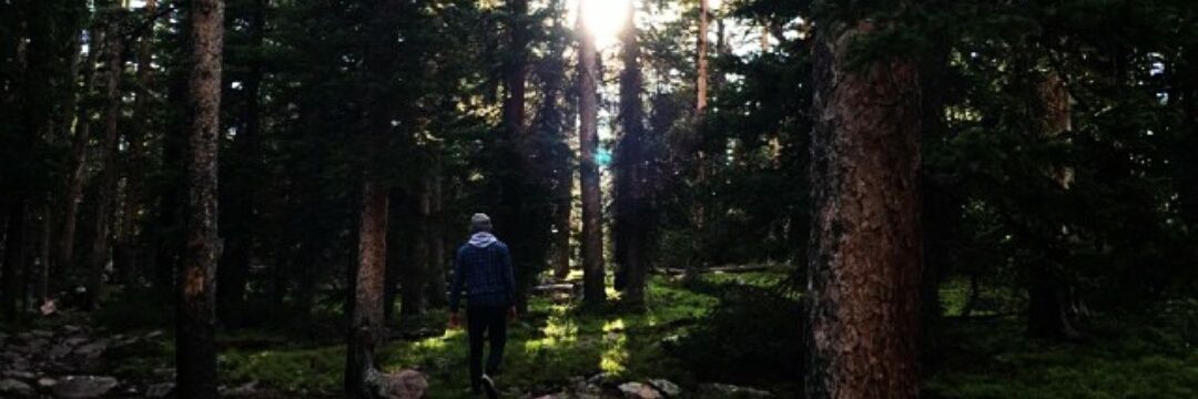 MackyBGarrett's profile banner image