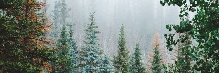 macallmcclellan's profile banner image