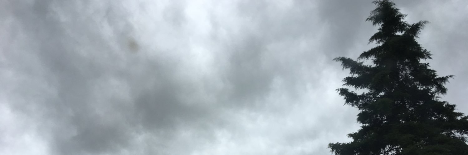 PameeMitch's profile banner image