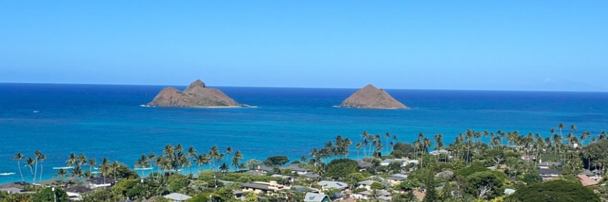 Drew🏴‍☠️ banner