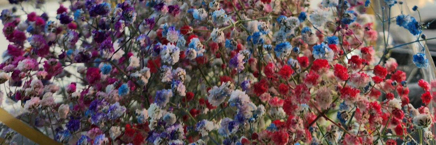 allydazlkfle's profile banner image