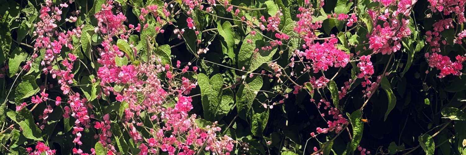 ସଙ୍ଗମ banner