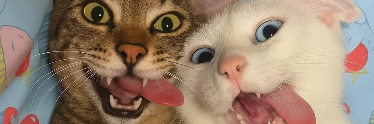 illeanaave's profile banner image
