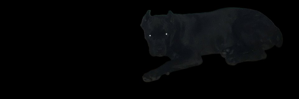 datynotdaddy's profile banner image