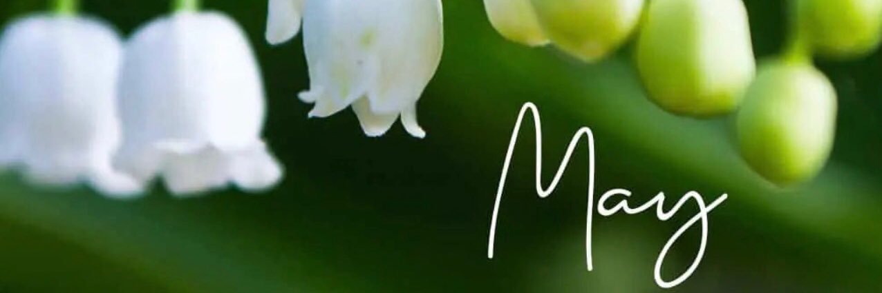 𝓒𝓱𝓮𝓵𝓲𝓮𝓒𝓱𝓮𝓵𝓲𝓮 banner